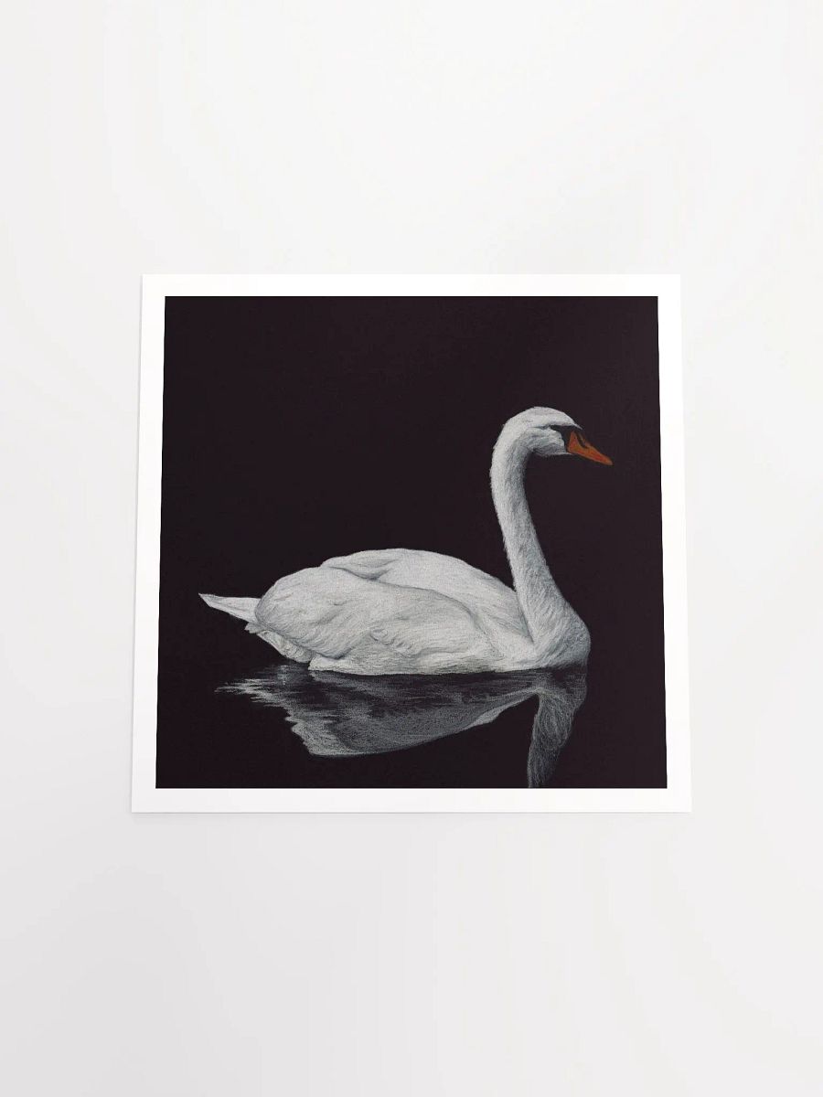 Swan print product image (4)