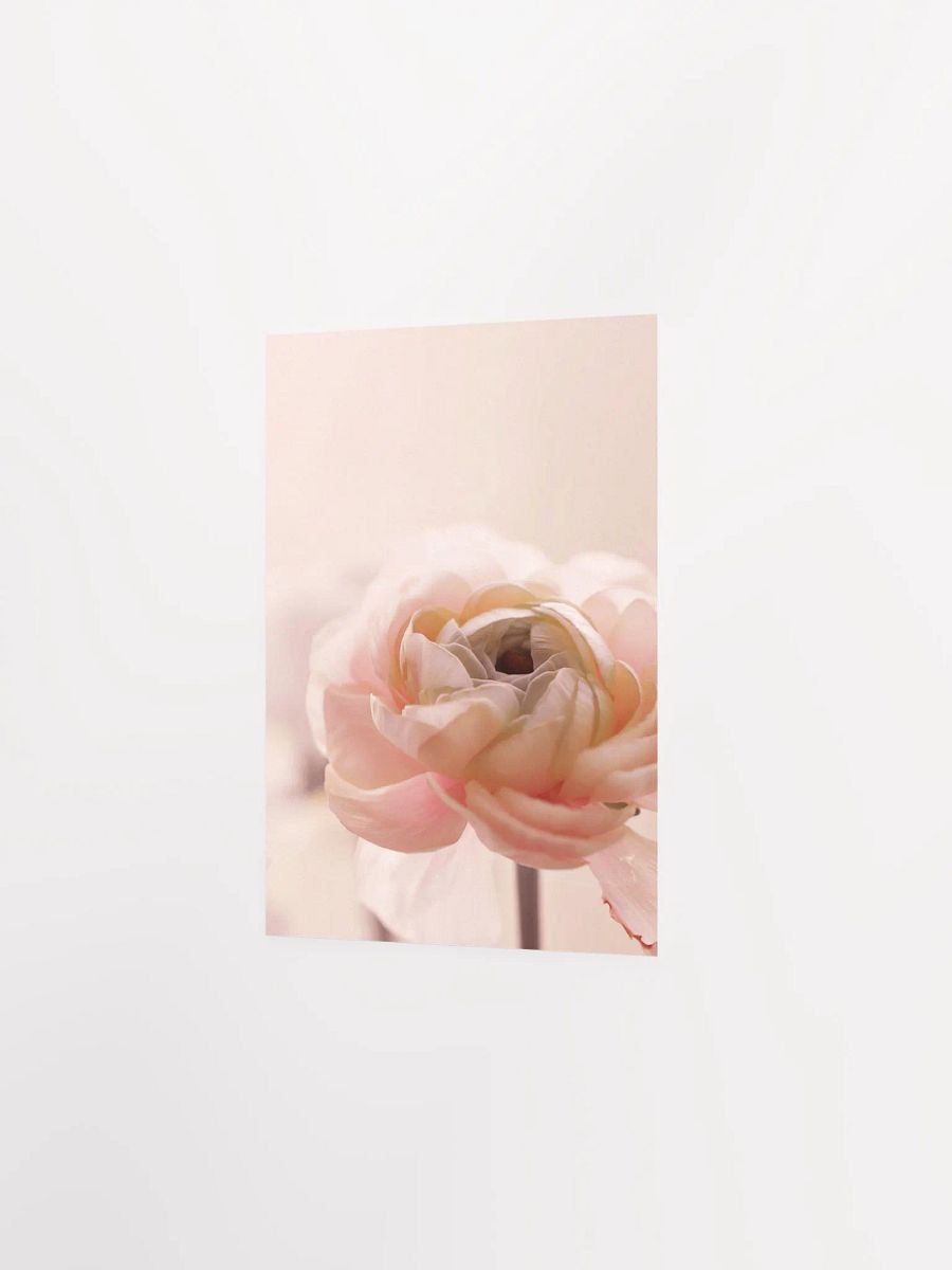 Dreamy flower Petal Delight Poster product image (16)