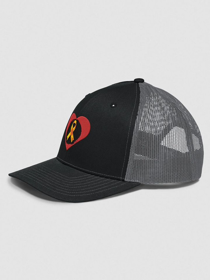 Leukemia Support Bamboozled product image (2)