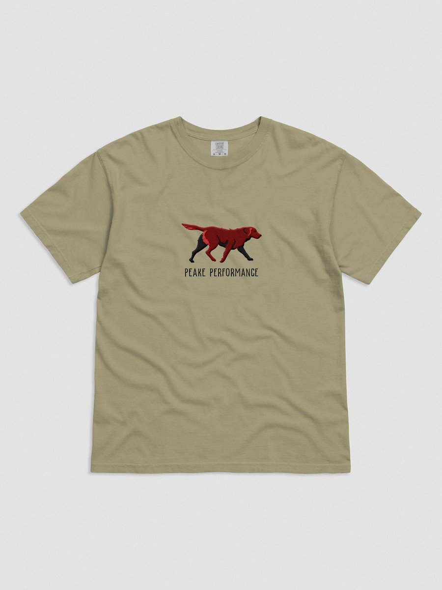 Peake Performance T-Shirt(Embroidered) of a Chesapeake Bay Retriever(Brown) product image (1)