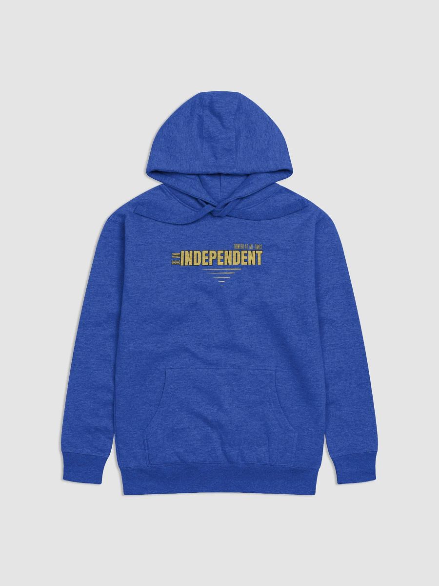 Independent Thinker Premium Hoodie product image (26)