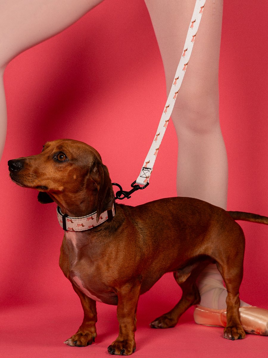 Doxie Leash product image (2)