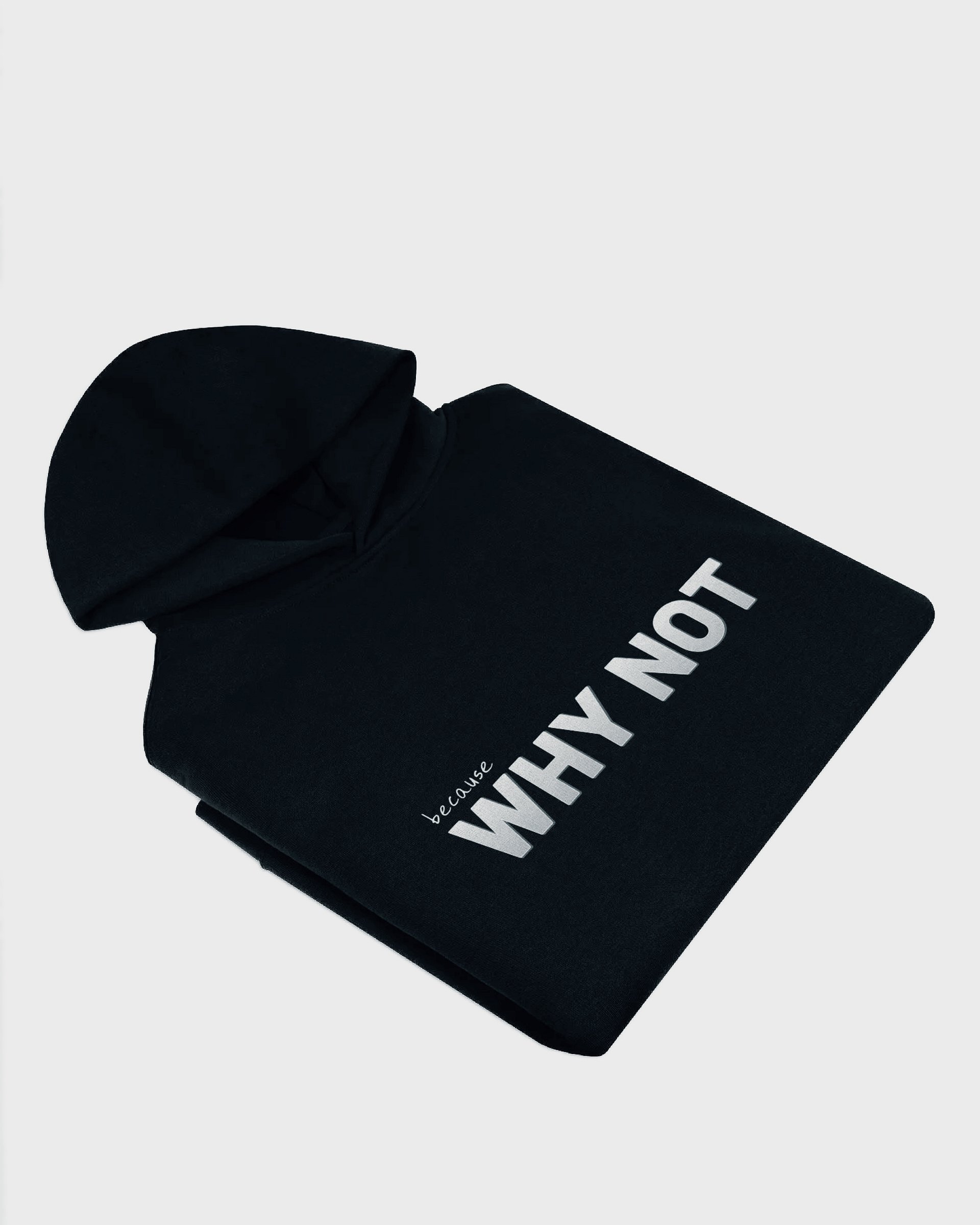 WHY NOT Hoodie product image (5)
