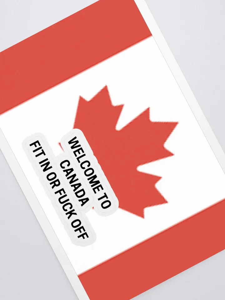 Canadian Pride Sticker Sheet FIT IN OR F*CK OFF product image (1)