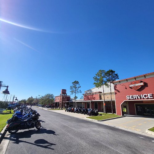 GOOD MORNING FROM @tampabayharleydavidson