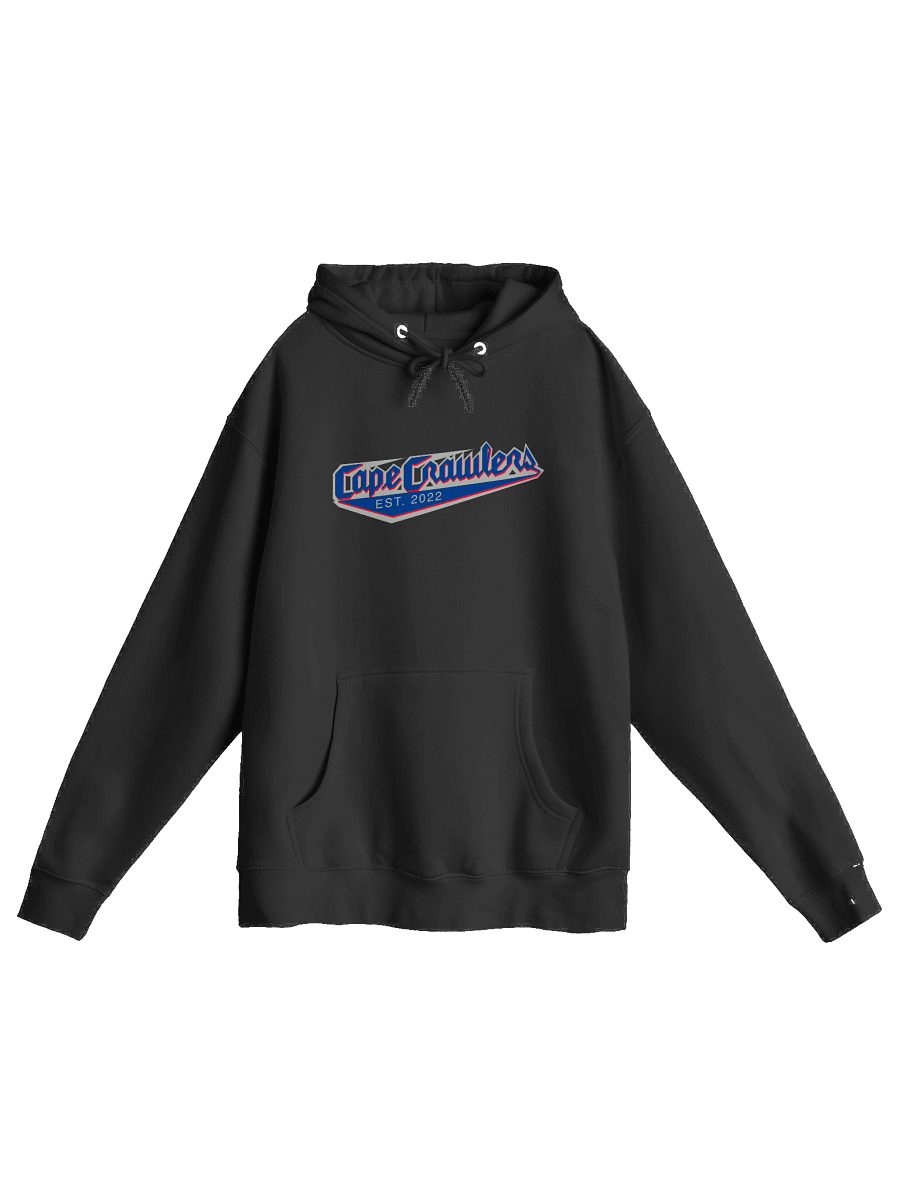 Varsity Logo (Blue) Hoodie product image (2)