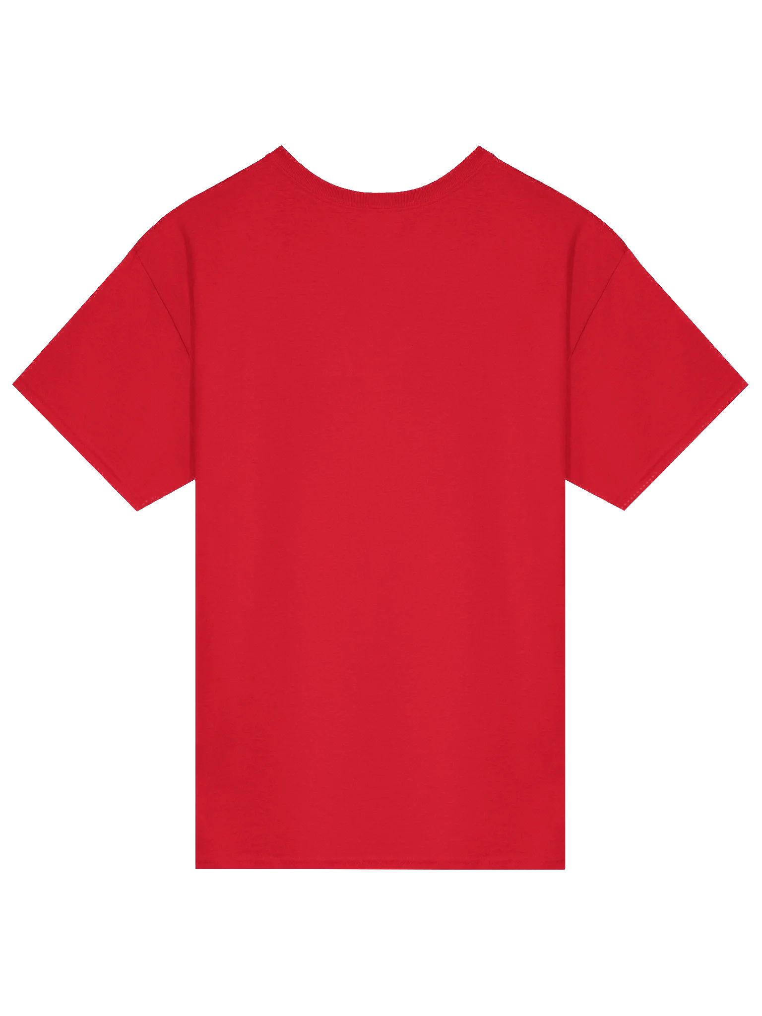 Winged Hussar World Tour product image (4)