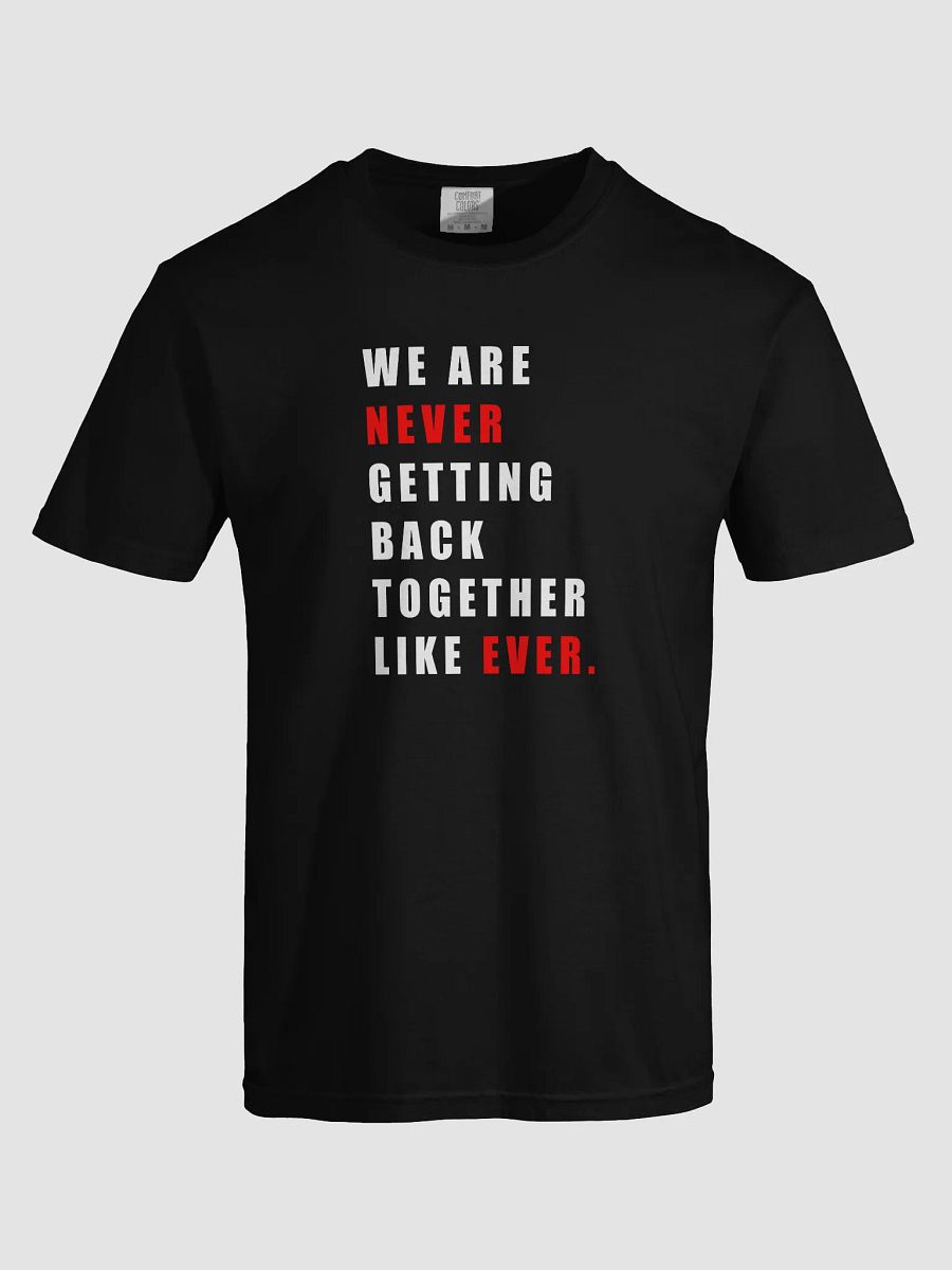 We Are Never Getting Back Together Again product image (17)