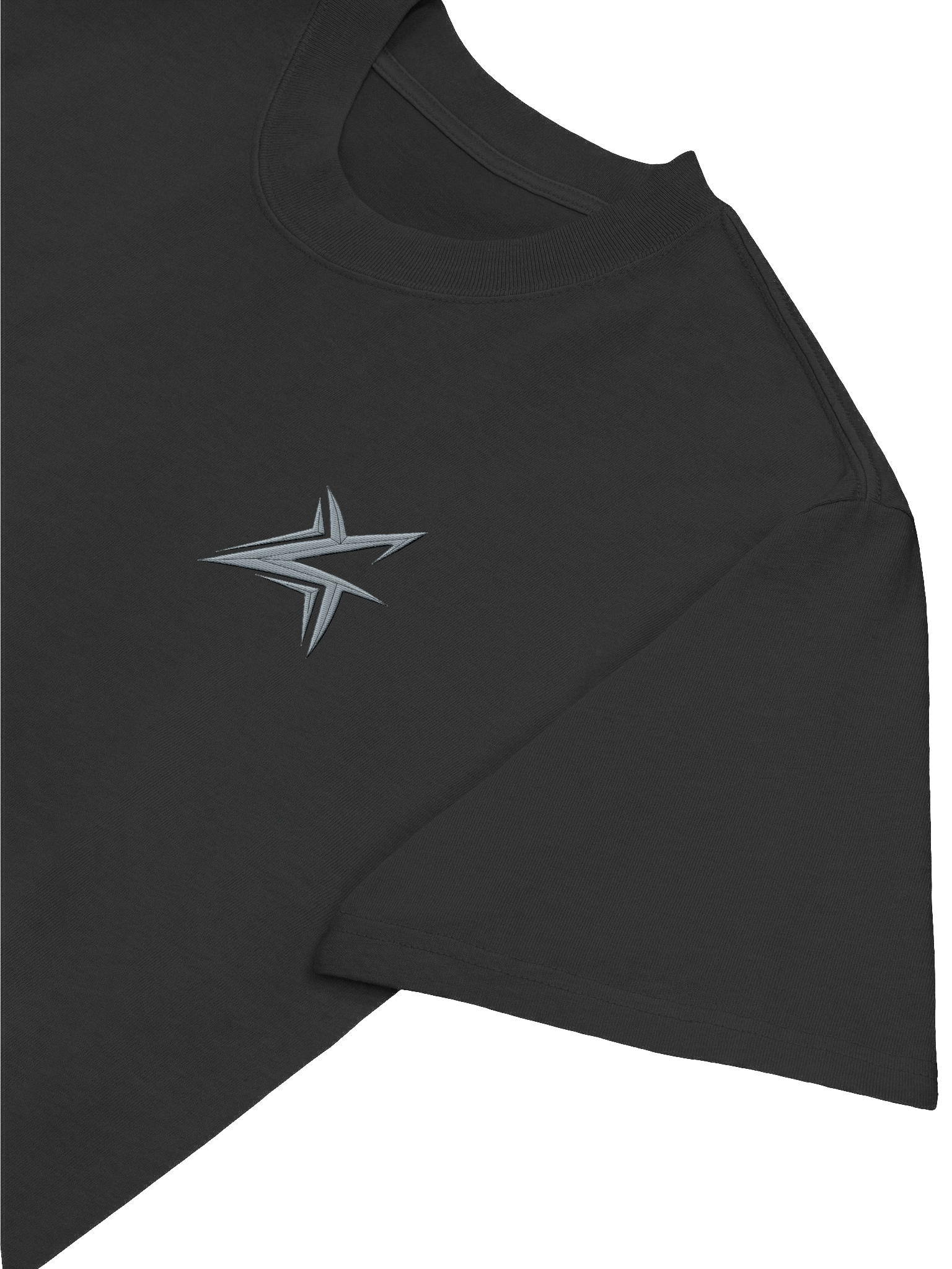 T-Shirt Oversized Embroidered product image (5)