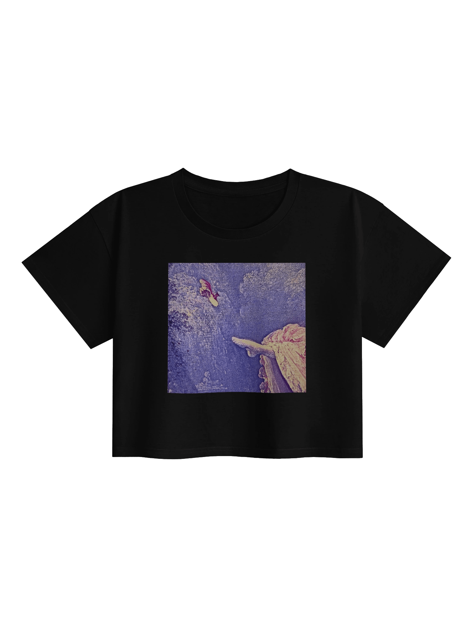 Flinging the Satin Slipper. Cropped product image (1)