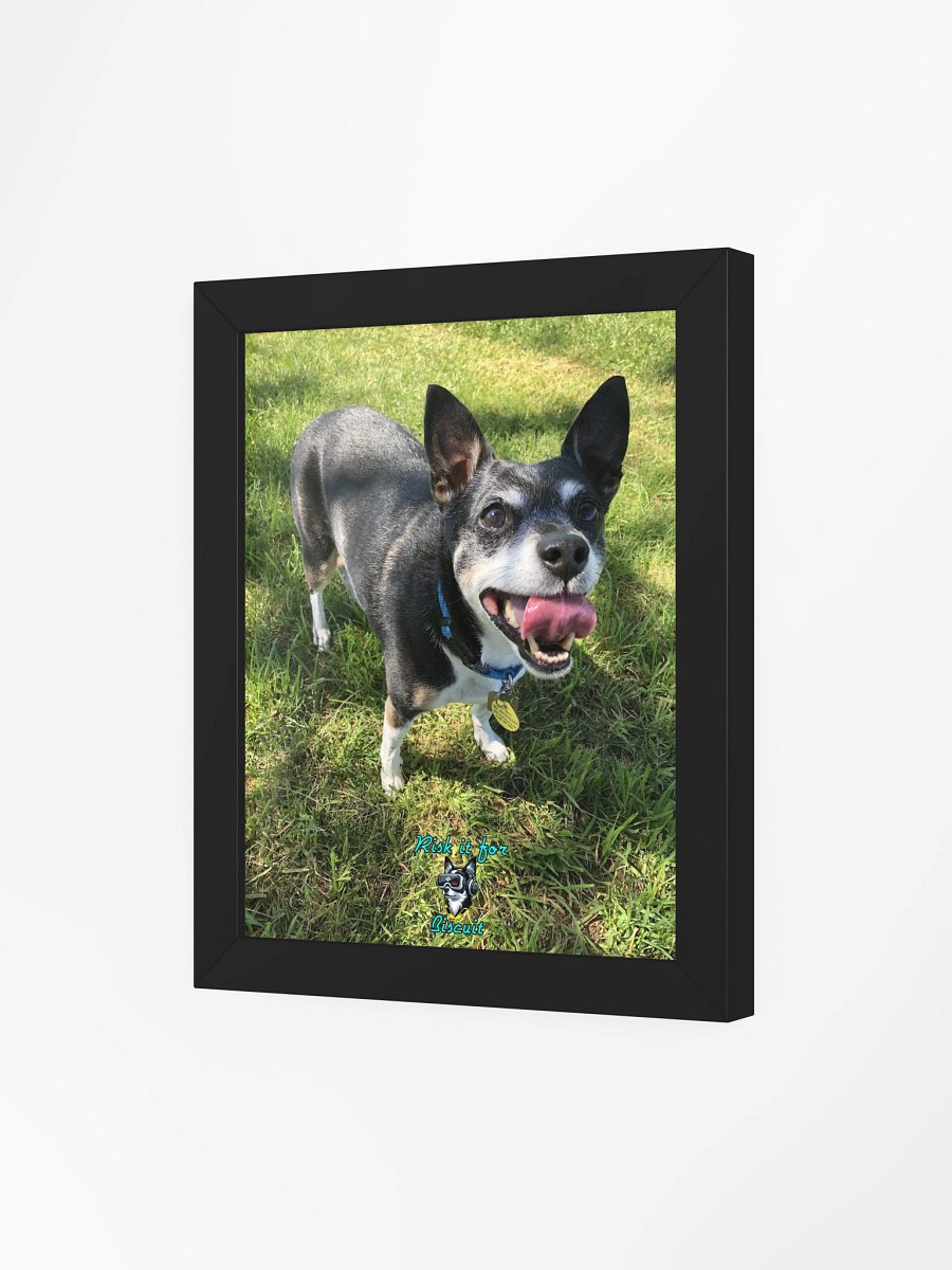 Crew Chief Biscuit - Ready for the summer season! product image (8)