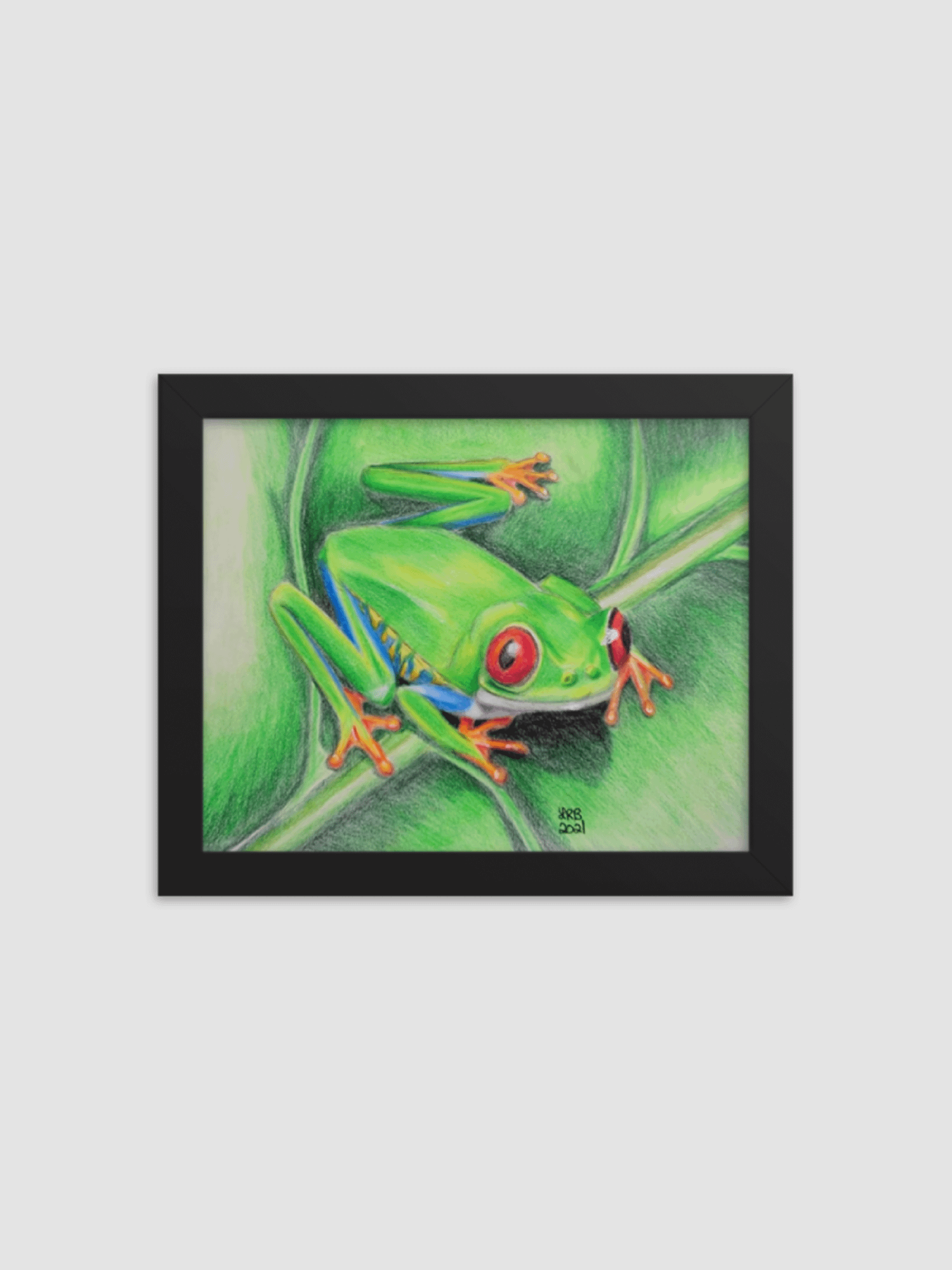 Tree Frog Framed Print product image (1)