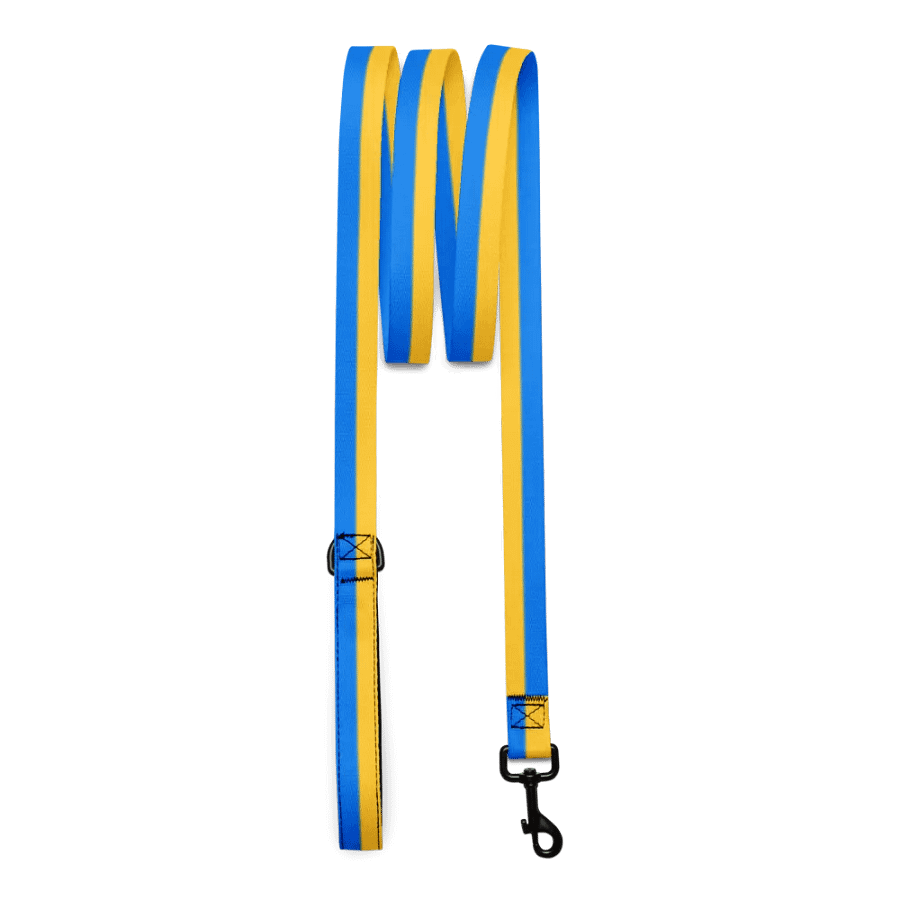 Sunset Stripes Pet Leash product image (3)