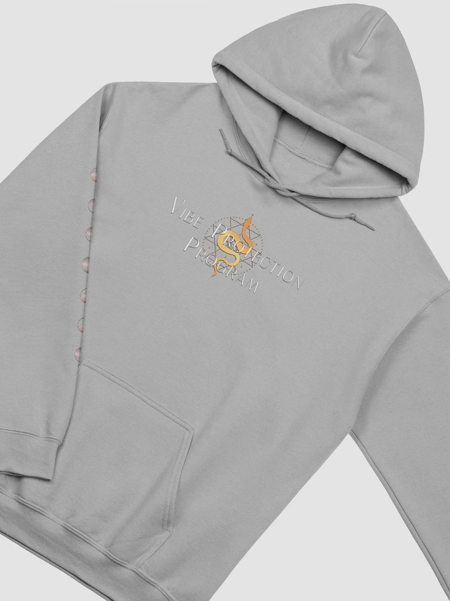 Vibe Protection Program product image (3)