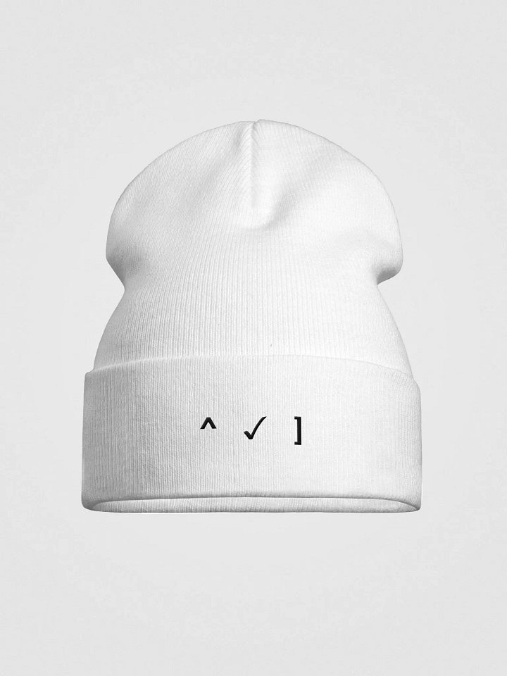 MFT - Classic - Logo Beanie product image (36)