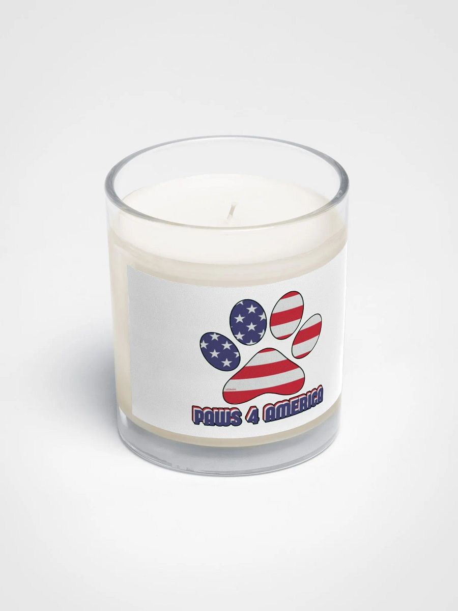 PAWS 4 AMERICA product image (2)