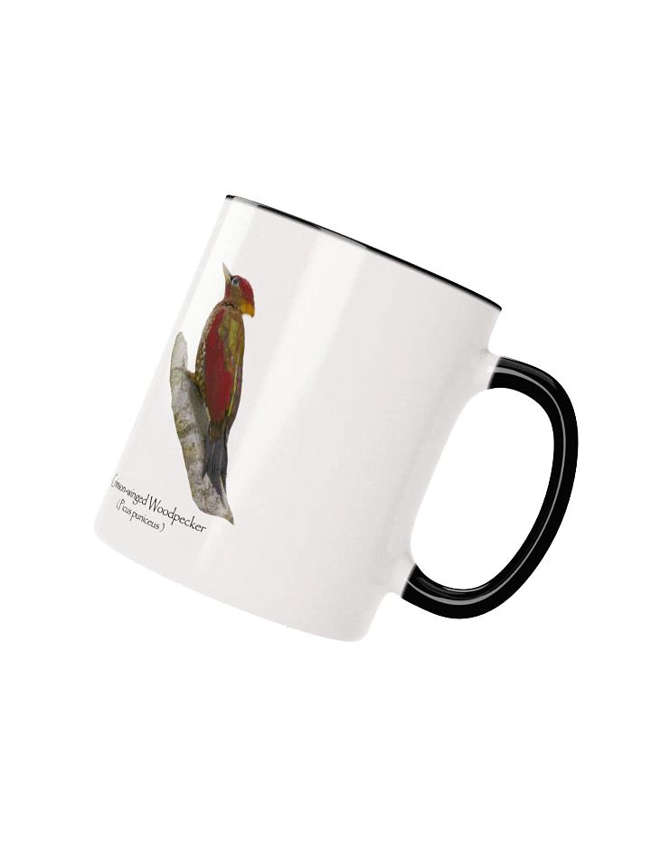 Crimson-winged Woodpecker mug product image (20)