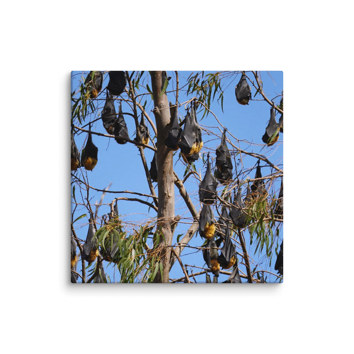 Bats Canvas product image (2)