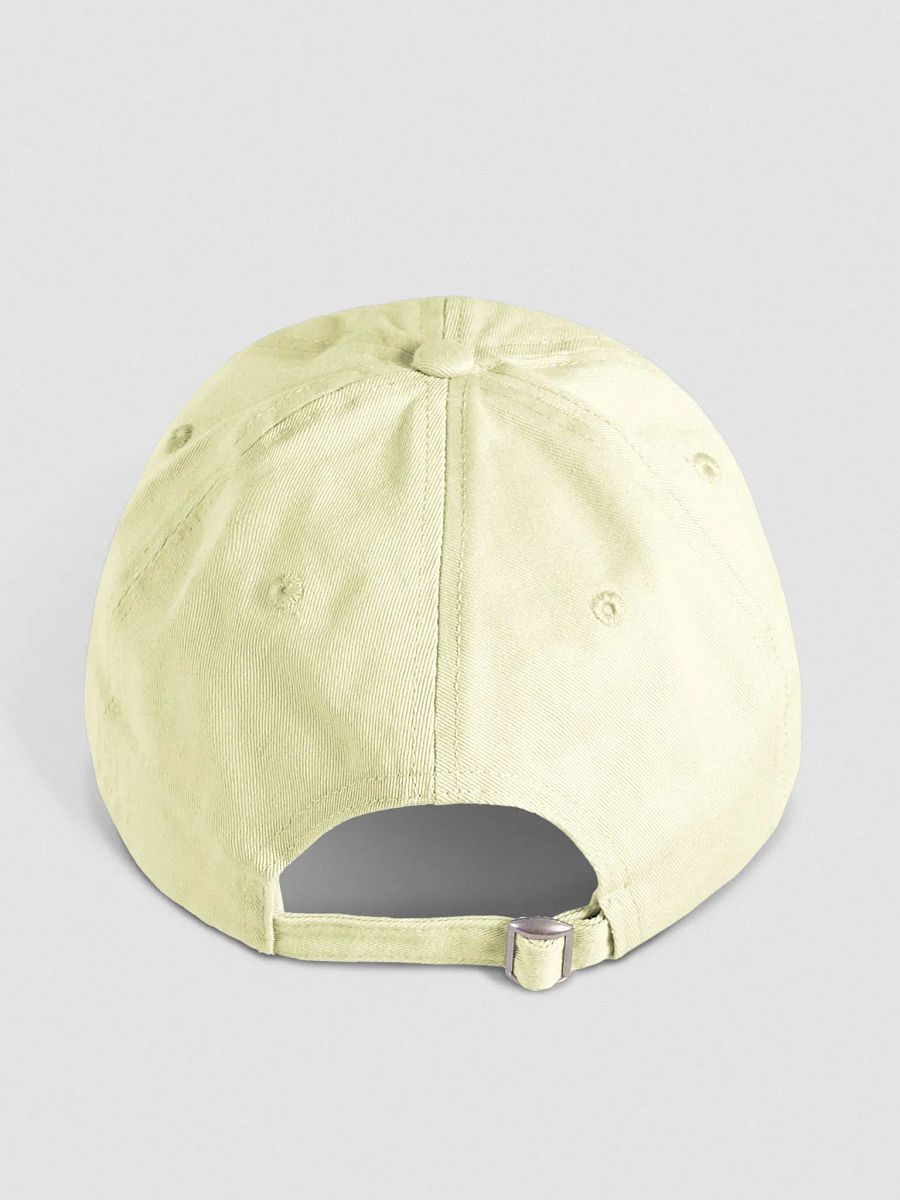 Aribee dad hat pastel product image (2)