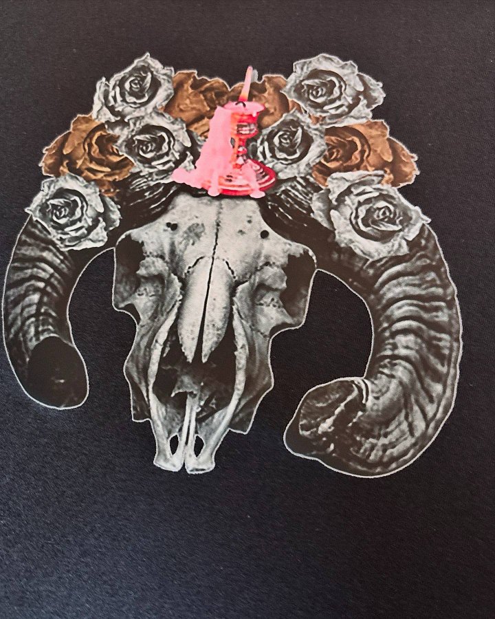 Ram Skull Majik product image (1)