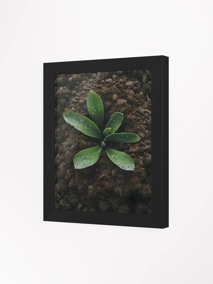 Dewy Greenery Framed Matte Poster product image (4)