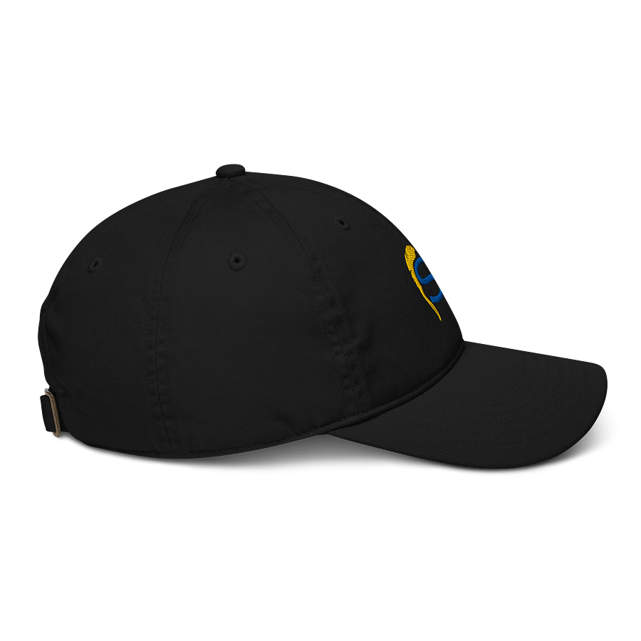 SI Dad Hat product image (5)