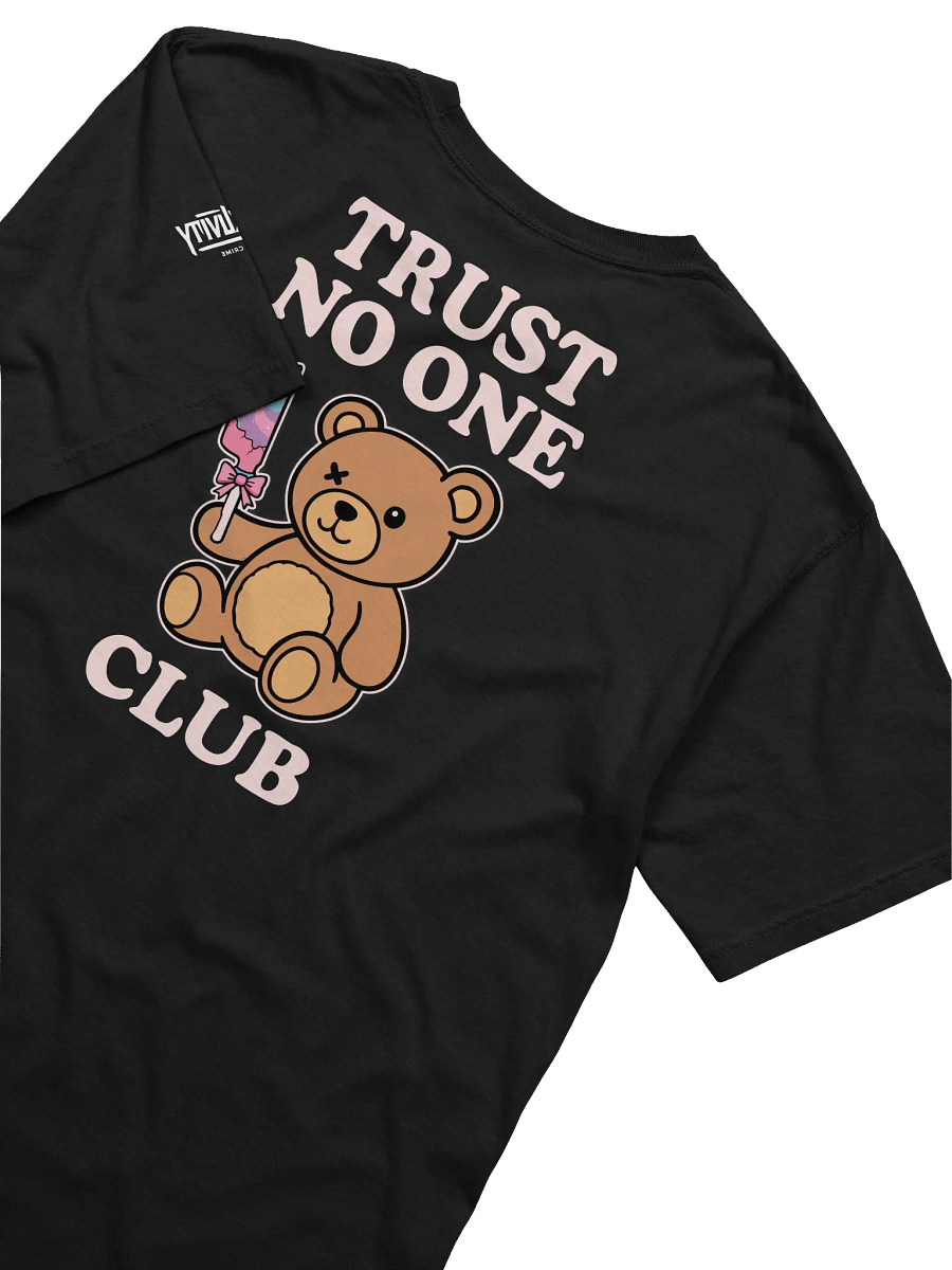 TRUST NO ONE CLUB Heavyweight Tee product image (8)