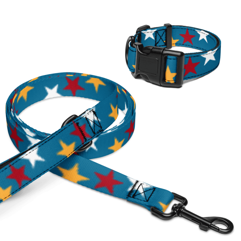The Bonesdale Pet Collar & Leash product image (4)