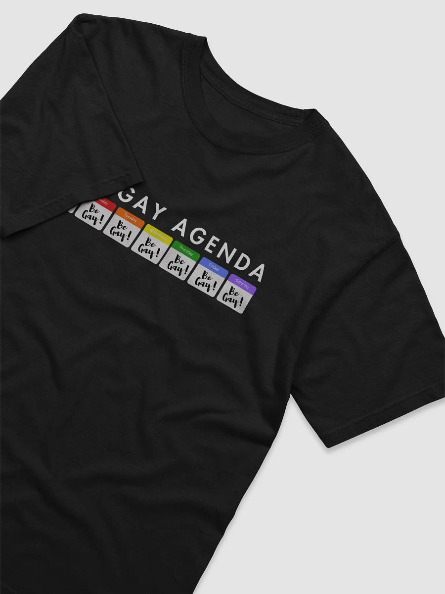 The Gay Agenda Tee. product image (3)