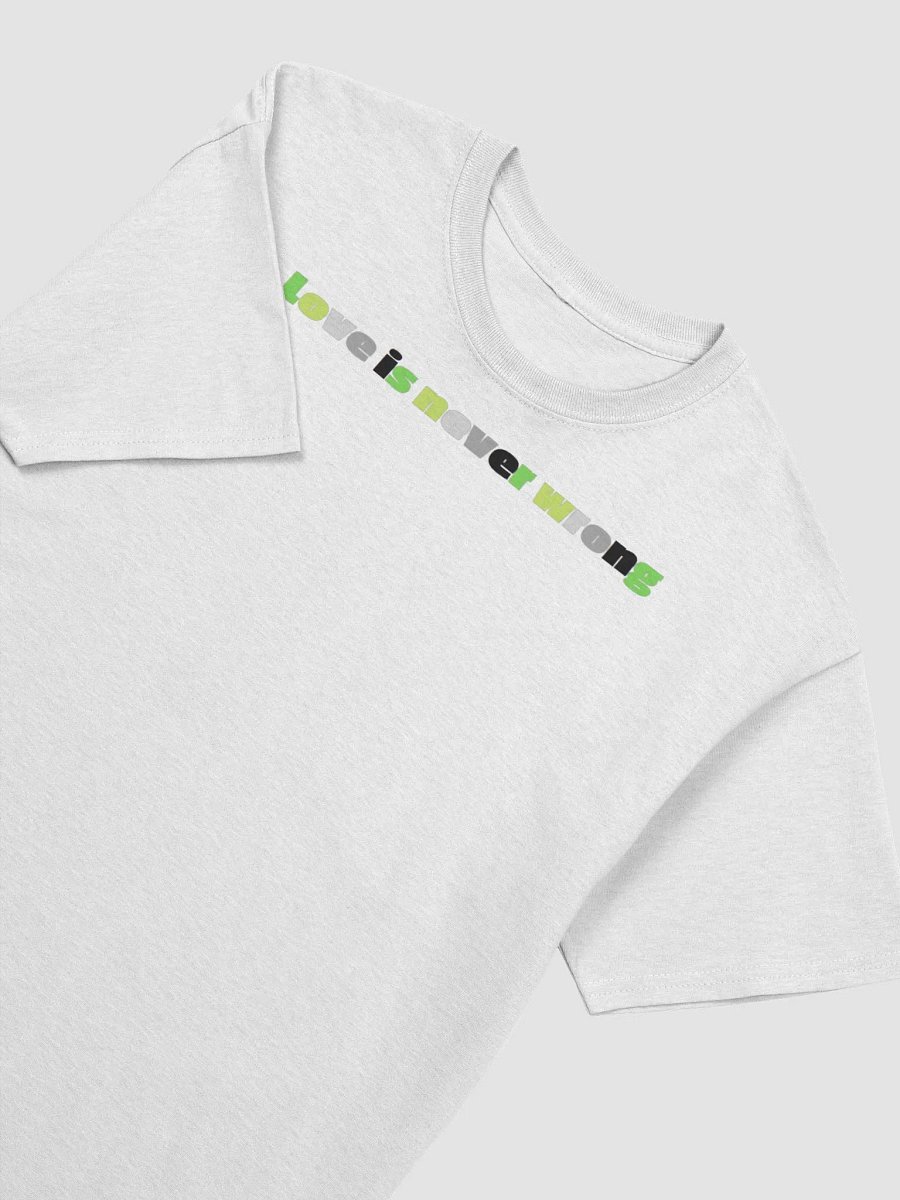 Love Is Never Wrong - Aromantic v2 product image (15)