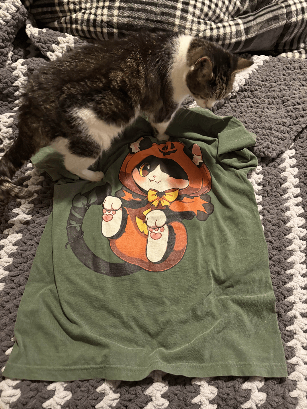 Pumpkiwi T-Shirt product image (3)