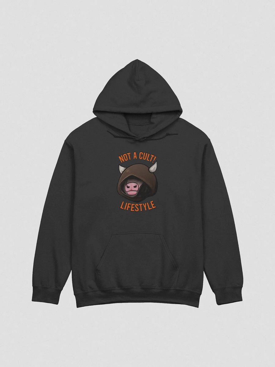 Lifestyle - Hoodie product image (1)