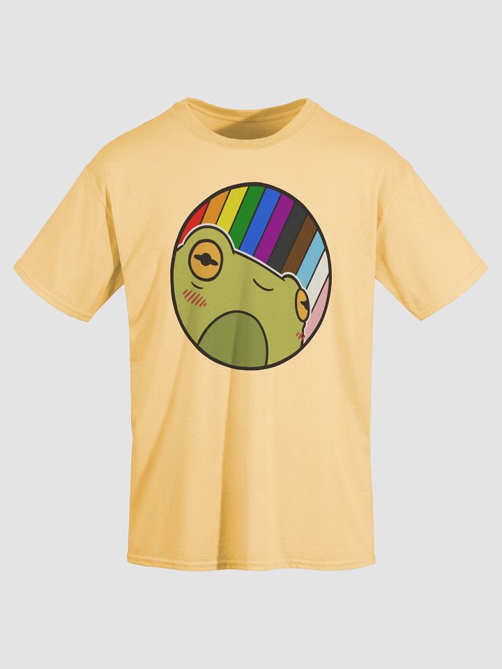 t-shirt : froge rainbow-progressive product image (2)