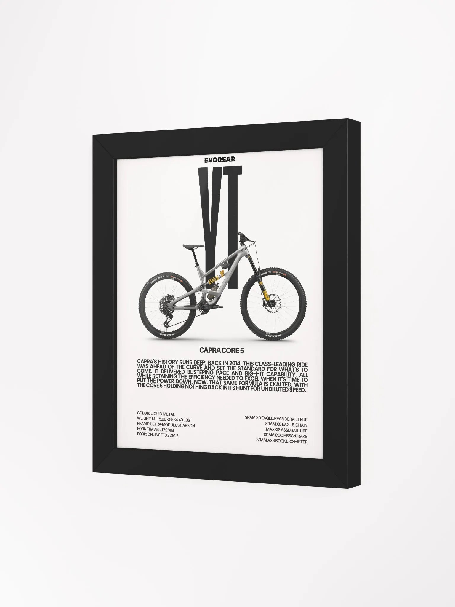 YT Capra Core 5 Frame product image (3)
