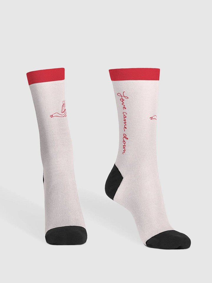 Love Came Down (Premium Sustainable Crew Socks) product image (2)