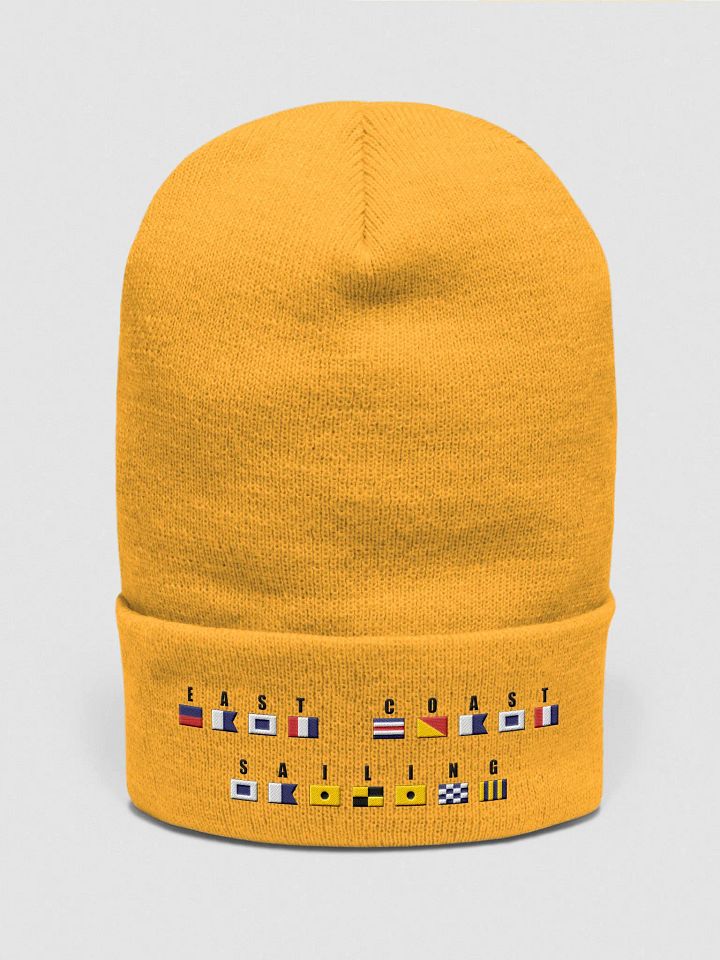 East Coast Flag Hat product image (2)