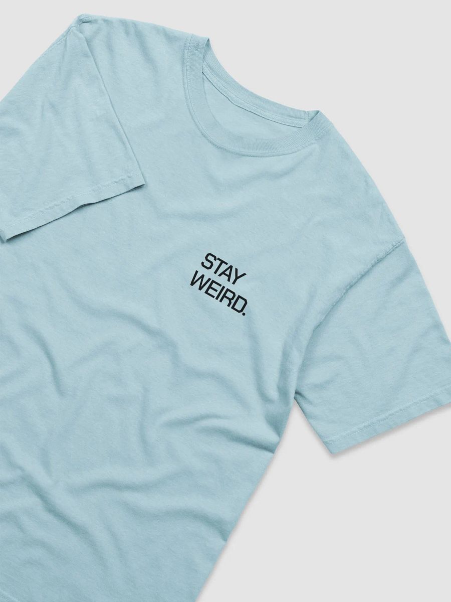 Stay Weird Squidy - Black Print shirt product image (12)