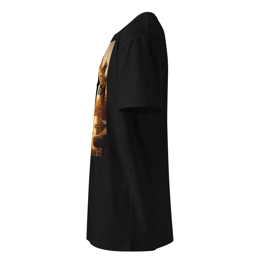 Abide In Him Christian Clothing – Golden Gates Premium T-Shirt product image (6)