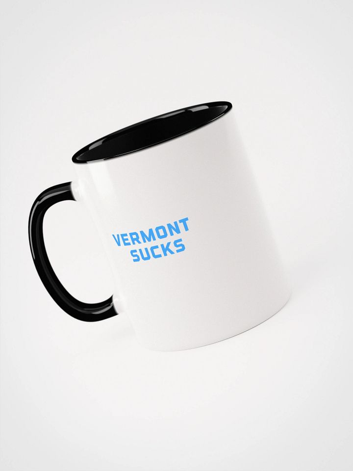 Vermont Sucks Mug product image (1)