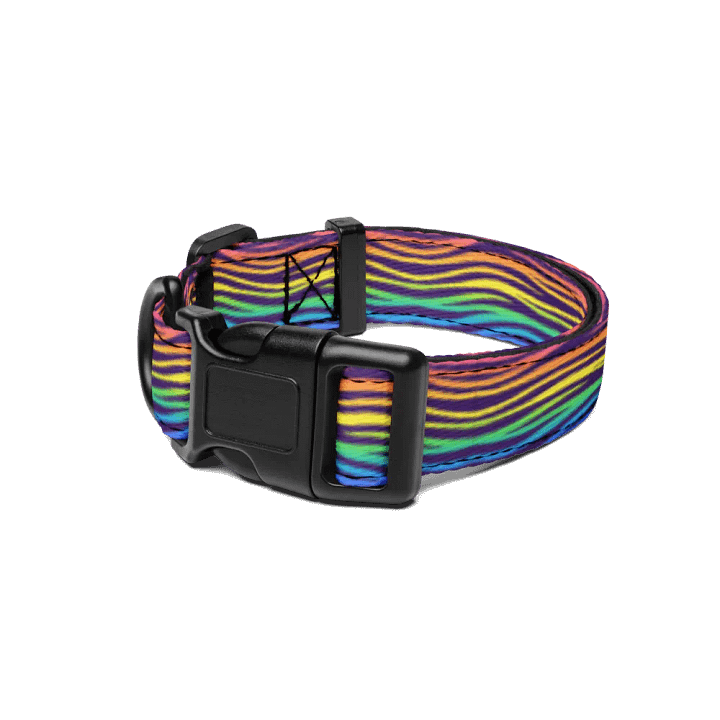 Prideful Pup product image (1)