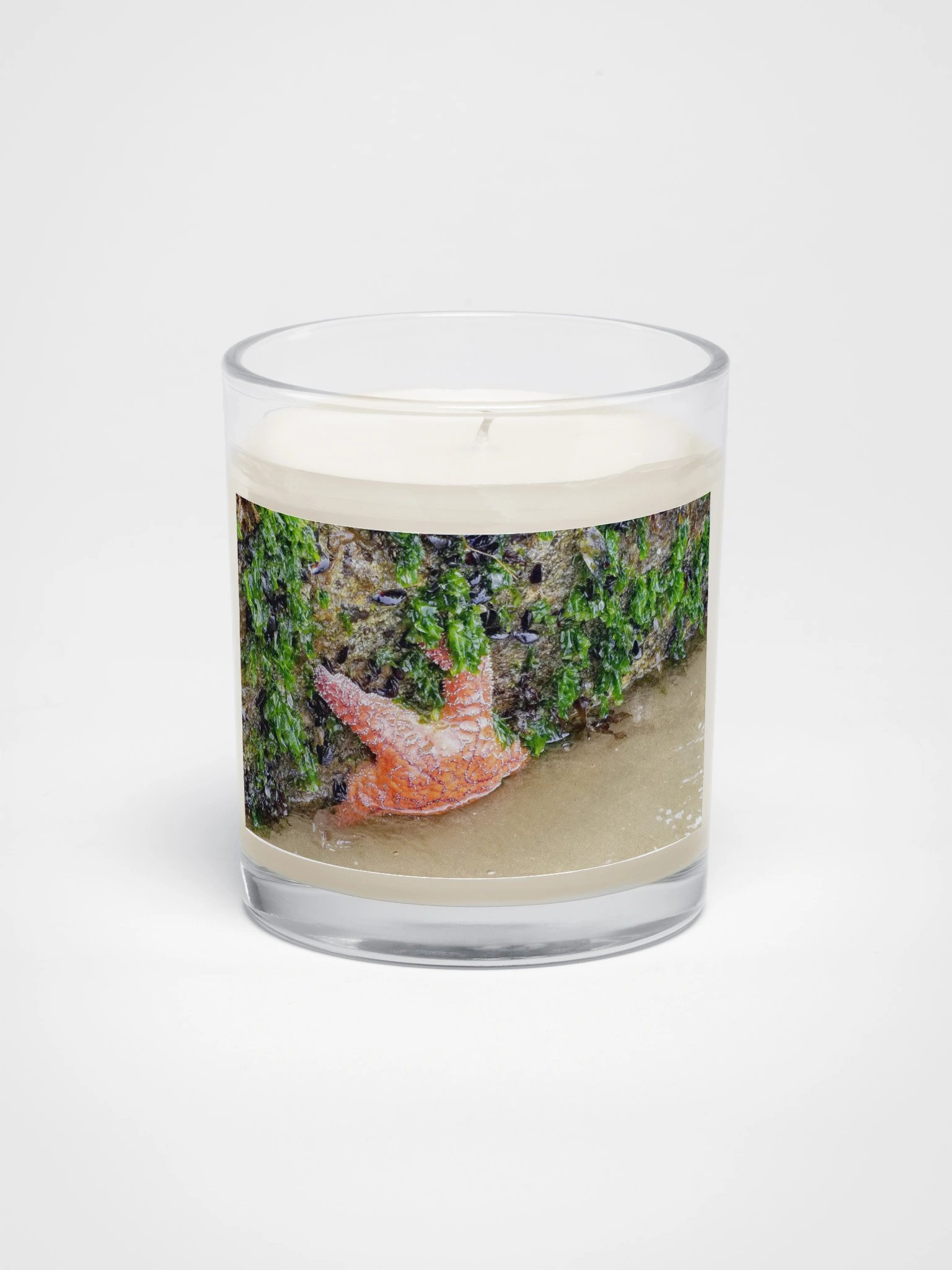 Starfish Soy Candle product image (1)