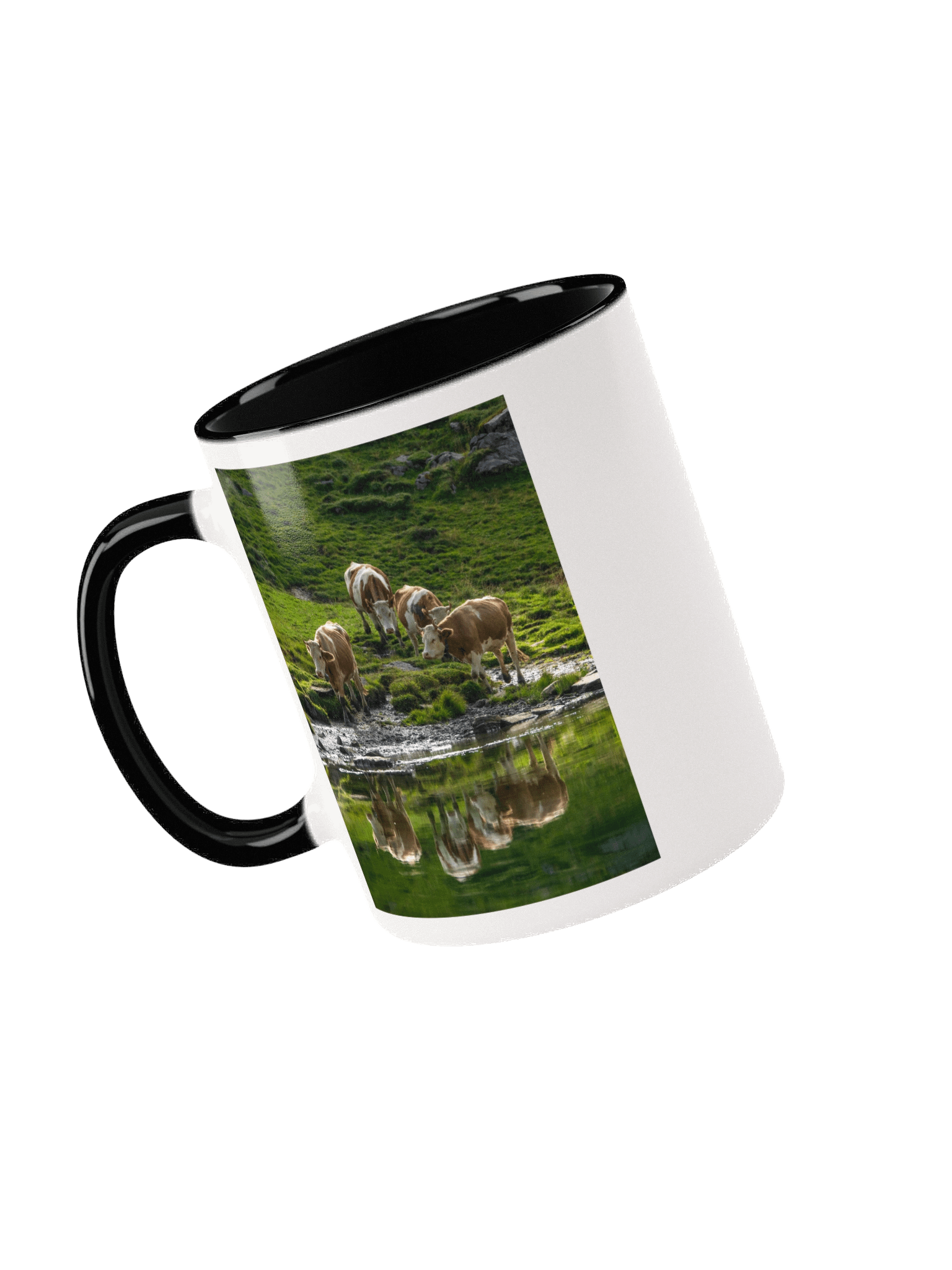 Cows at Sulseeli Jungfrau Region product image (36)