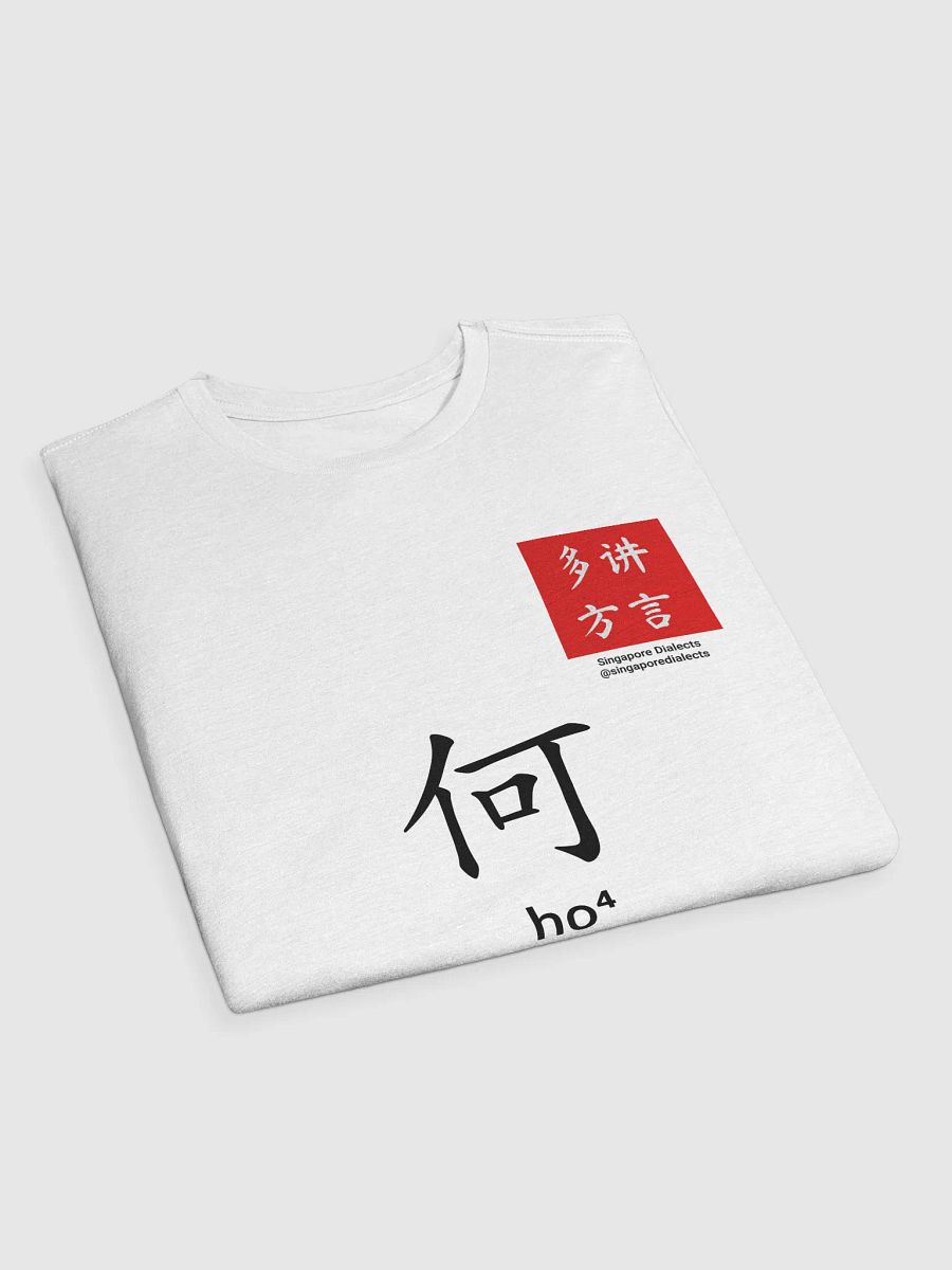何 Hor (Cantonese) Surname T-Shirt (Light) product image (3)