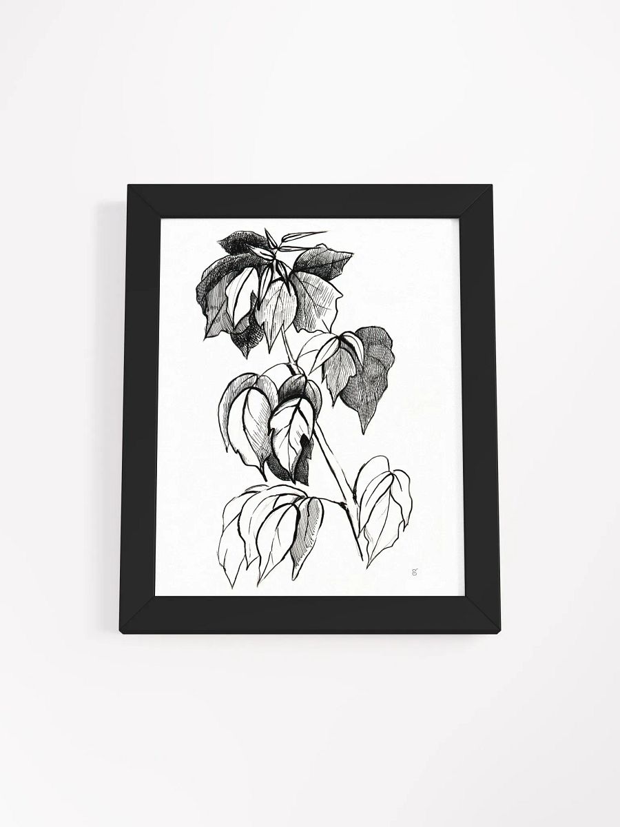 Botanical Sketch Framed Matte Poster - Stylish Graphical Twig product image (3)