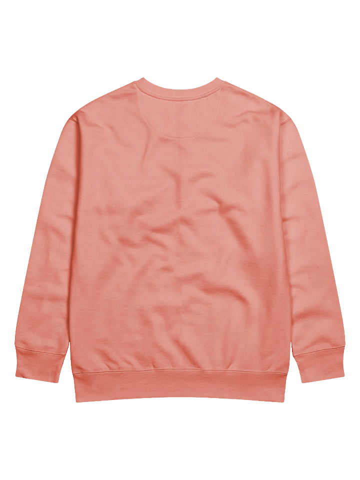 Silently Correcting Your Grammar Sweatshirt product image (8)