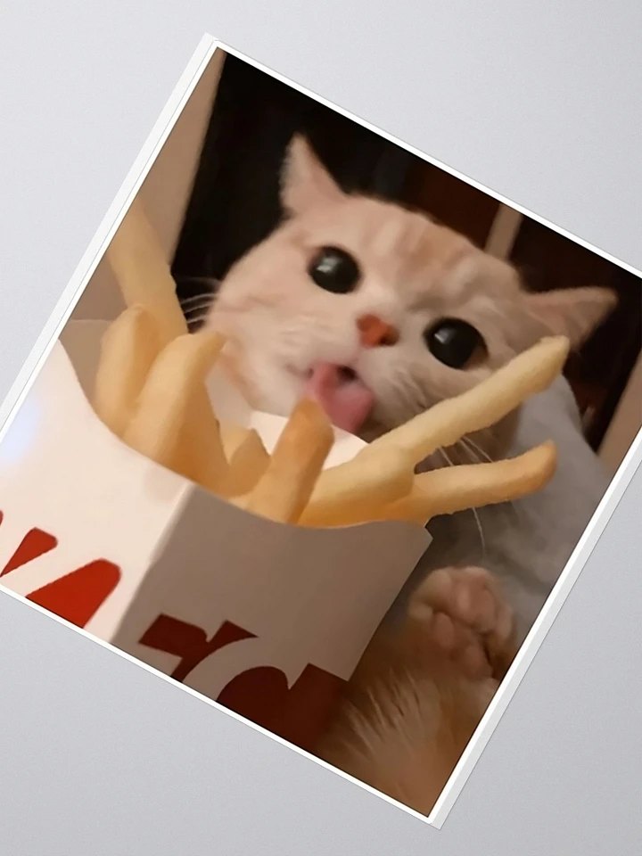 Kiss Cut Stickers: Meme Cats fries product image (2)