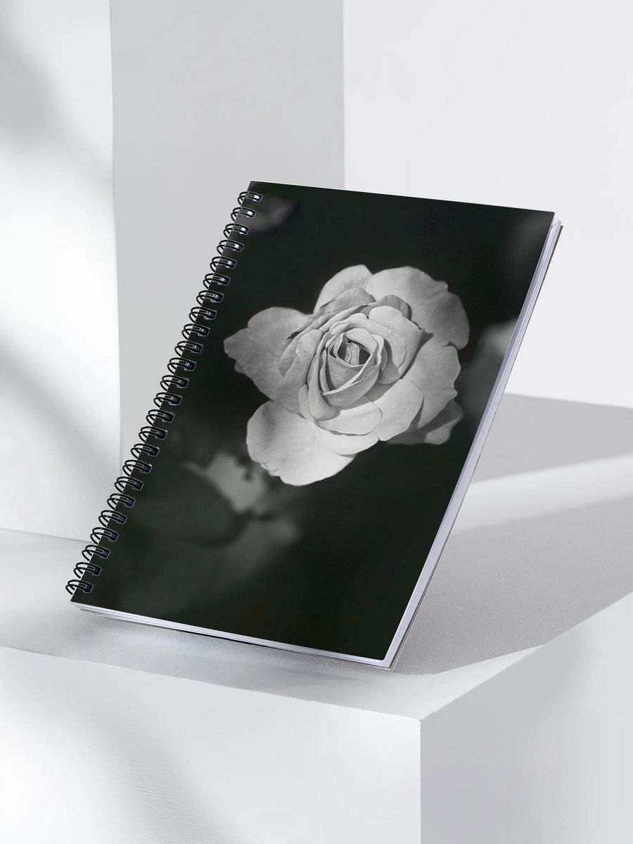 Journal product image (1)