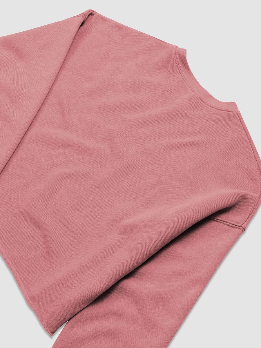 Save Our Veterans Crop Sweatshirt product image (19)