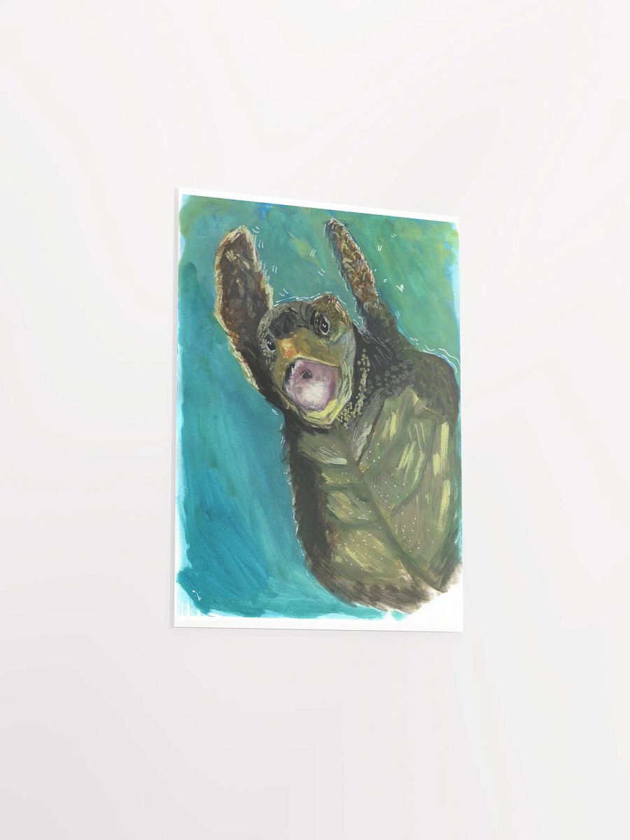 Turtle Print product image (6)