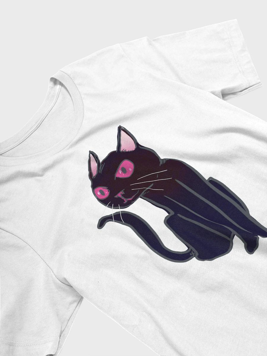 black cat product image (3)